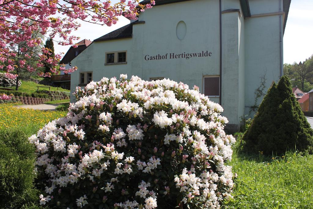 Gasthof Hertigswalde 세브니츠 외부 사진